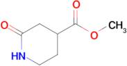 Methyl 2-oxopiperidine-4-carboxylate