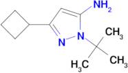 1-(tert-Butyl)-3-cyclobutyl-1H-pyrazol-5-amine