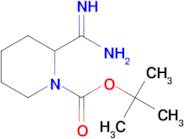 tert-Butyl 2-amidinopiperidine-1-carboxylate