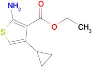 Ethyl 2-amino-4-cyclopropylthiophene-3-carboxylate