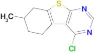 4-Chloro-7-methyl-5,6,7,8-tetrahydrobenzo[4,5]thieno[2,3-d]pyrimidine