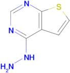 4-Hydrazinylthieno[2,3-d]pyrimidine