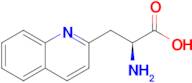 (S)-2-Amino-3-(quinolin-2-yl)propanoic acid
