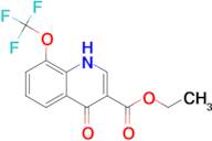 Ethyl 4-hydroxy-8-(trifluoromethoxy)quinoline-3-carboxylate