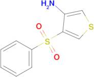 4-(Phenylsulfonyl)thiophen-3-amine