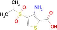 3-Amino-4-(isopropylsulfonyl)thiophene-2-carboxylic acid