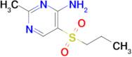 2-Methyl-5-(propylsulfonyl)pyrimidin-4-amine