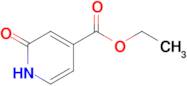 Ethyl 2-oxo-1,2-dihydropyridine-4-carboxylate