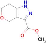 Methyl 1,4,6,7-tetrahydropyrano[4,3-c]pyrazole-3-carboxylate