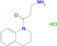 3-Amino-1-(3,4-dihydroquinolin-1(2H)-yl)propan-1-one hydrochloride