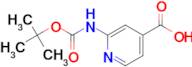 2-((tert-Butoxycarbonyl)amino)isonicotinic acid