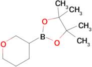 4,4,5,5-Tetramethyl-2-(tetrahydro-2H-pyran-3-yl)-1,3,2-dioxaborolane