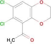 1-(6,7-Dichloro-2,3-dihydrobenzo[b][1,4]dioxin-5-yl)ethanone