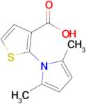 2-(2,5-Dimethyl-1H-pyrrol-1-yl)thiophene-3-carboxylic acid