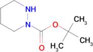 tert-Butyl tetrahydropyridazine-1(2H)-carboxylate