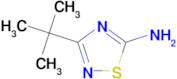 3-(tert-Butyl)-1,2,4-thiadiazol-5-amine