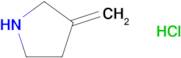 3-Methylenepyrrolidine hydrochloride