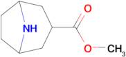 Methyl 8-azabicyclo[3.2.1]octane-3-carboxylate