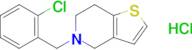 5-(2-Chlorobenzyl)-4,5,6,7-tetrahydrothieno[3,2-c]pyridine hydrochloride