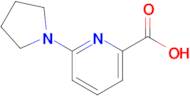 6-(Pyrrolidin-1-yl)picolinic acid