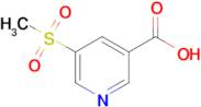 5-(Methylsulfonyl)nicotinic acid