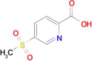 5-(Methylsulfonyl)picolinic acid