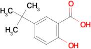 5-(tert-Butyl)-2-hydroxybenzoic acid