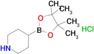 4-(4,4,5,5-Tetramethyl-1,3,2-dioxaborolan-2-yl)piperidine hydrochloride