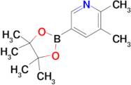 2,3-Dimethyl-5-(4,4,5,5-tetramethyl-1,3,2-dioxaborolan-2-yl)pyridine