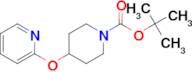 tert-Butyl 4-(pyridin-2-yloxy)piperidine-1-carboxylate