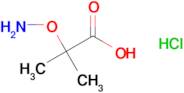 2-(Aminooxy)-2-methylpropanoic acid hydrochloride