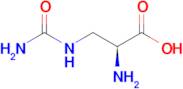 (S)-2-Amino-3-ureidopropanoic acid