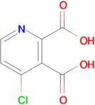 4-Chloropyridine-2,3-dicarboxylic acid