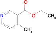 Ethyl 4-methylnicotinate