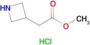 Methyl 2-(azetidin-3-yl)acetate hydrochloride