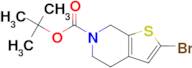 tert-Butyl 2-bromo-4,5-dihydrothieno[2,3-c]pyridine-6(7H)-carboxylate