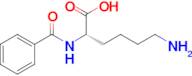 (S)-6-Amino-2-benzamidohexanoic acid