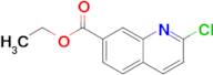 Ethyl 2-chloroquinoline-7-carboxylate