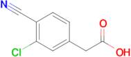 2-(3-Chloro-4-cyanophenyl)acetic acid