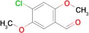 4-Chloro-2,5-dimethoxybenzaldehyde