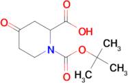 1-(tert-Butoxycarbonyl)-4-oxopiperidine-2-carboxylic acid