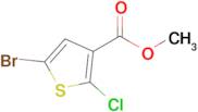 Methyl 5-bromo-2-chlorothiophene-3-carboxylate