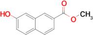 Methyl 7-hydroxy-2-naphthoate