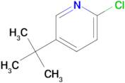 5-(tert-Butyl)-2-chloropyridine