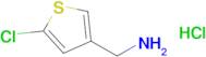 (5-Chlorothiophen-3-yl)methanamine hydrochloride