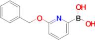 (6-(Benzyloxy)pyridin-2-yl)boronic acid