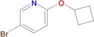 5-Bromo-2-cyclobutoxypyridine