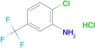 2-Chloro-5-(trifluoromethyl)aniline hydrochloride