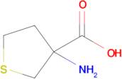 3-Aminotetrahydrothiophene-3-carboxylic acid