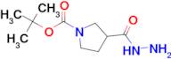 Tert-Butyl 3-(hydrazinecarbonyl)pyrrolidine-1-carboxylate